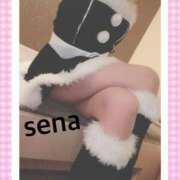 ヒメ日記 2024/12/23 21:07 投稿 セナ Picasso(ピカソ)