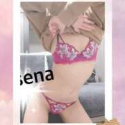 ヒメ日記 2024/12/28 12:30 投稿 セナ Picasso(ピカソ)