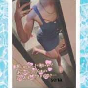 ヒメ日記 2025/01/08 14:19 投稿 セナ Picasso(ピカソ)