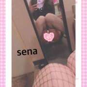 ヒメ日記 2025/01/27 18:06 投稿 セナ Picasso(ピカソ)