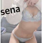 ヒメ日記 2025/02/18 12:09 投稿 セナ Picasso(ピカソ)