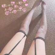 ヒメ日記 2025/02/18 21:08 投稿 セナ Picasso(ピカソ)