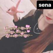 ヒメ日記 2025/02/20 18:46 投稿 セナ Picasso(ピカソ)