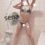 ヒメ日記 2025/04/30 12:13 投稿 セナ Picasso(ピカソ)