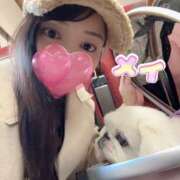 ヒメ日記 2025/11/28 12:05 投稿 メイ ラブ&ピース 大宮店