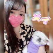 ヒメ日記 2025/11/30 00:05 投稿 メイ ラブ&ピース 大宮店