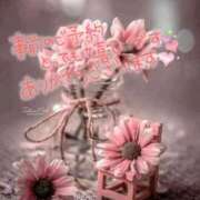 ヒメ日記 2025/06/08 20:23 投稿 葉月 れな 30代40代50代と遊ぶなら博多人妻専科24時