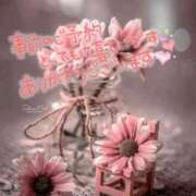 ヒメ日記 2025/08/25 21:15 投稿 葉月 れな 30代40代50代と遊ぶなら博多人妻専科24時