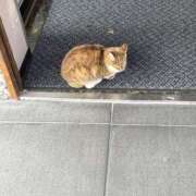 ヒメ日記 2025/09/24 17:33 投稿 葉月 れな 30代40代50代と遊ぶなら博多人妻専科24時