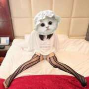 ヒメ日記 2025/07/06 23:23 投稿 白雪-Shirayuki- 姉新地