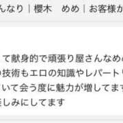 ヒメ日記 2024/11/27 07:00 投稿 櫻木　めめ プルプル京都性感エステ　はんなり