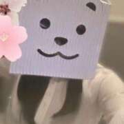 ヒメ日記 2025/03/17 22:18 投稿 櫻木　めめ プルプル京都性感エステ　はんなり