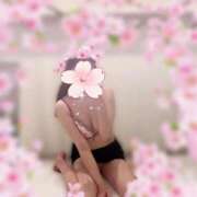 ヒメ日記 2025/03/30 14:31 投稿 櫻木　めめ プルプル京都性感エステ　はんなり