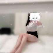 ヒメ日記 2025/11/25 07:23 投稿 櫻木　めめ プルプル京都性感エステ　はんなり