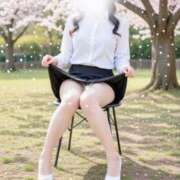 ヒメ日記 2026/03/31 14:28 投稿 櫻木　めめ プルプル京都性感エステ　はんなり