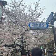 ヒメ日記 2026/04/02 14:01 投稿 櫻木　めめ プルプル京都性感エステ　はんなり