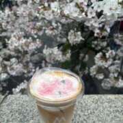 ヒメ日記 2026/04/05 07:02 投稿 櫻木　めめ プルプル京都性感エステ　はんなり