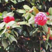 ヒメ日記 2026/03/15 17:32 投稿 このみ スピード京橋店