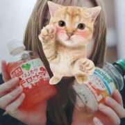 このみ このみ（スピード京橋店） スピード京橋店