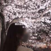 ヒメ日記 2026/04/16 14:37 投稿 おとは 横浜泡洗体デラックスエステ