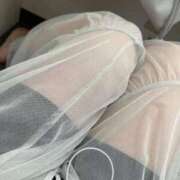 ヒメ日記 2024/12/17 17:30 投稿 あこ リアル 日本橋店