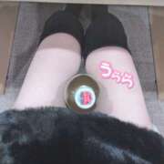 ヒメ日記 2025/11/05 10:57 投稿 うらら かりんと神田