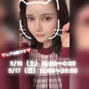 りり『ガール』 🎥久しぶりのりりです🐱 ディオーネ