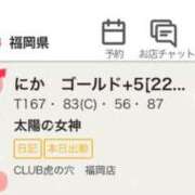 ヒメ日記 2025/02/06 04:33 投稿 にか　ゴールド+3 CLUB虎の穴 福岡店