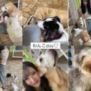 ヒメ日記 2025/02/27 00:20 投稿 にか　ゴールド+3 CLUB虎の穴 福岡店