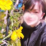 ヒメ日記 2025/02/26 09:49 投稿 よしの 川崎・東横人妻城