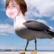 ヒメ日記 2025/05/24 12:48 投稿 よしの 川崎・東横人妻城