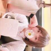 ヒメ日記 2025/08/12 09:57 投稿 よしの 川崎・東横人妻城