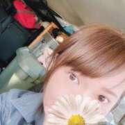 ヒメ日記 2025/08/14 17:16 投稿 よしの 川崎・東横人妻城