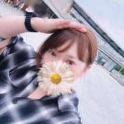 ヒメ日記 2025/08/16 13:36 投稿 よしの 川崎・東横人妻城