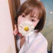 ヒメ日記 2025/08/17 10:36 投稿 よしの 川崎・東横人妻城