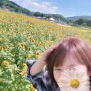 ヒメ日記 2025/08/21 17:22 投稿 よしの 川崎・東横人妻城