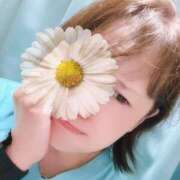 ヒメ日記 2025/08/26 06:00 投稿 よしの 川崎・東横人妻城