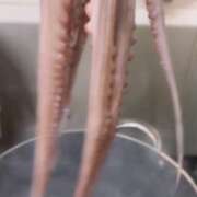 ヒメ日記 2025/09/05 13:48 投稿 よしの 川崎・東横人妻城