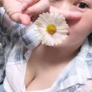 ヒメ日記 2025/09/16 13:29 投稿 よしの 川崎・東横人妻城