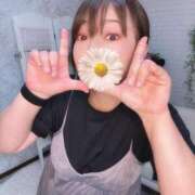 ヒメ日記 2025/09/17 10:32 投稿 よしの 川崎・東横人妻城