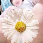 ヒメ日記 2025/09/19 06:23 投稿 よしの 川崎・東横人妻城