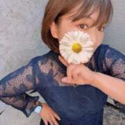 ヒメ日記 2025/10/02 15:53 投稿 よしの 川崎・東横人妻城