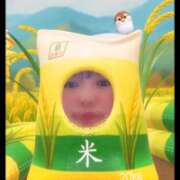 ヒメ日記 2025/10/11 19:56 投稿 よしの 川崎・東横人妻城