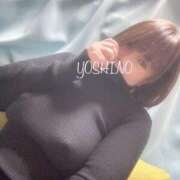 ヒメ日記 2025/11/09 09:48 投稿 よしの 川崎・東横人妻城