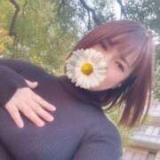 ヒメ日記 2025/11/15 14:21 投稿 よしの 川崎・東横人妻城