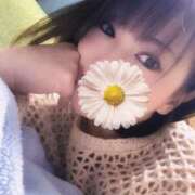 ヒメ日記 2025/11/22 12:07 投稿 よしの 川崎・東横人妻城