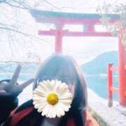 ヒメ日記 2025/11/23 18:55 投稿 よしの 川崎・東横人妻城