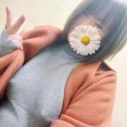 ヒメ日記 2025/11/27 18:32 投稿 よしの 川崎・東横人妻城