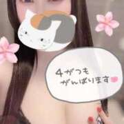 ナツメ 4月の初めて ラブ&ピース 大宮店