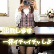 ヒメ日記 2026/09/26 12:04 投稿 杉内　かほ スタイリッシュ秘書